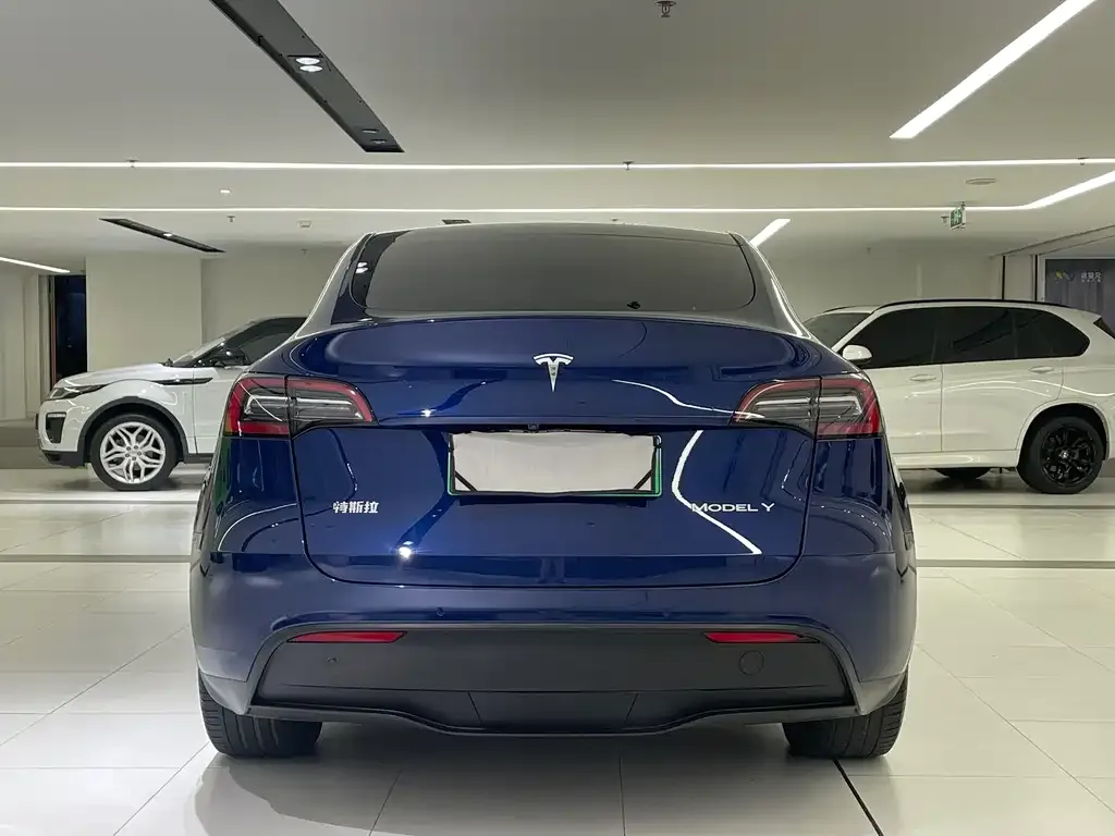 Tesla Model Y — фото 5
