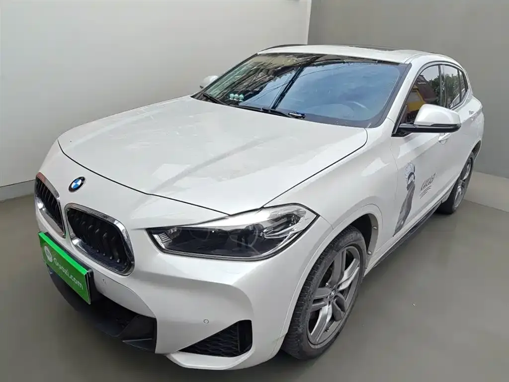 BMW X2 — фото 1