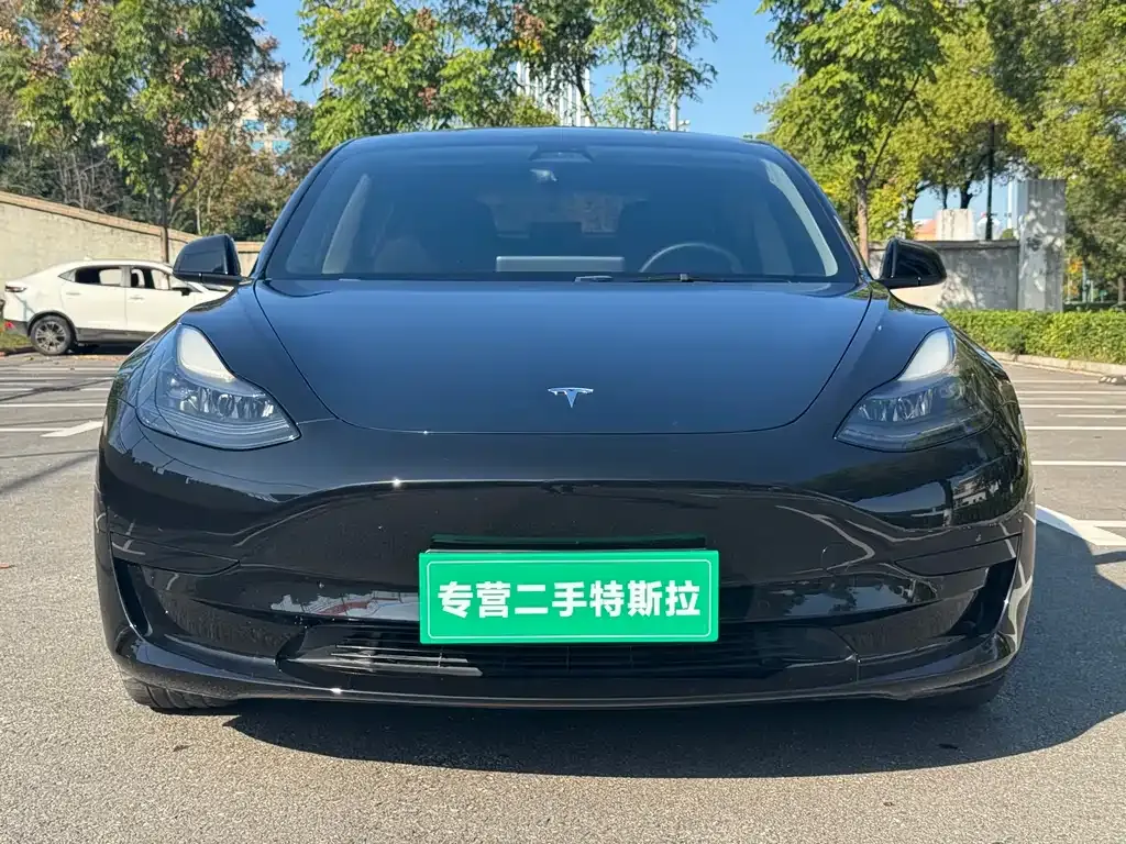 Tesla Model 3 — фото 3