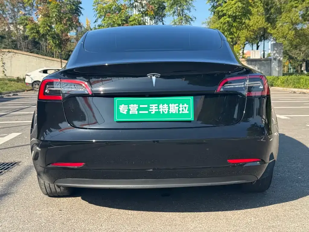 Tesla Model 3 — фото 4