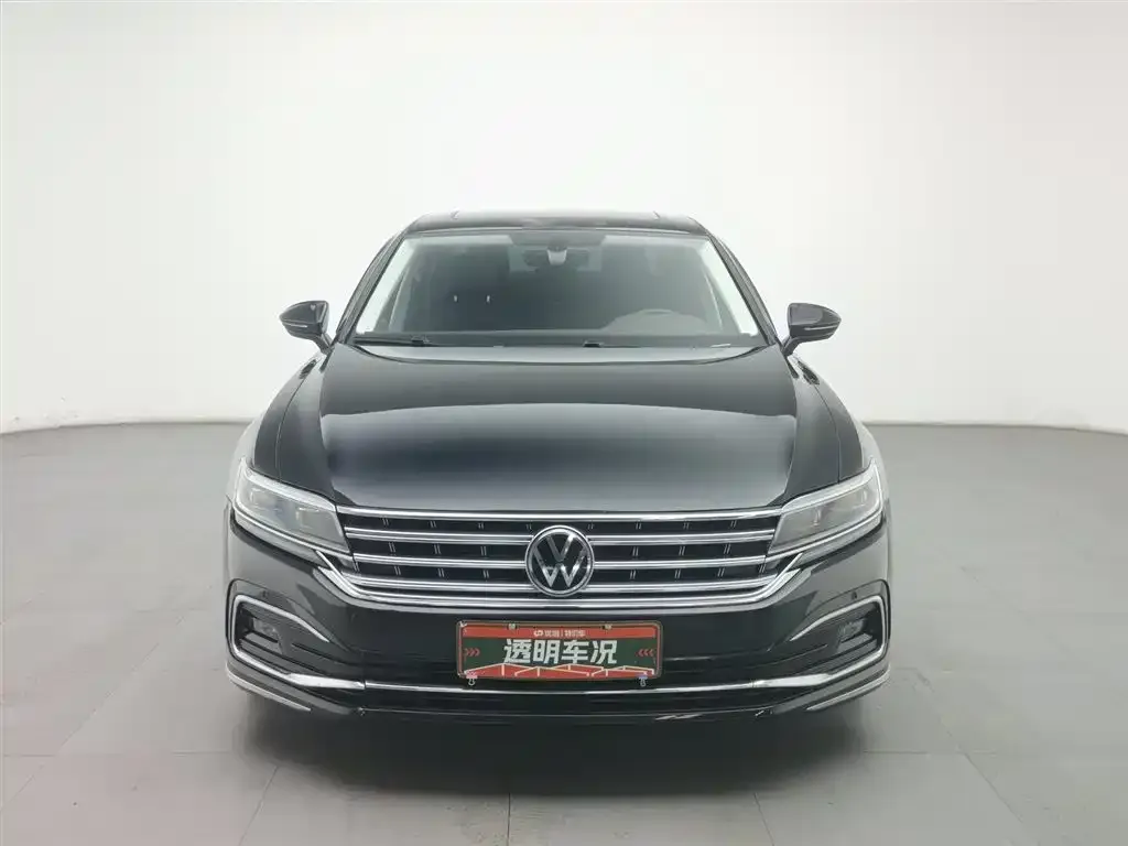 Volkswagen Phideon — фото 3