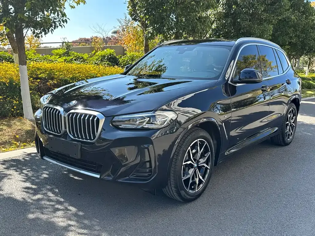 BMW X3 — фото 1