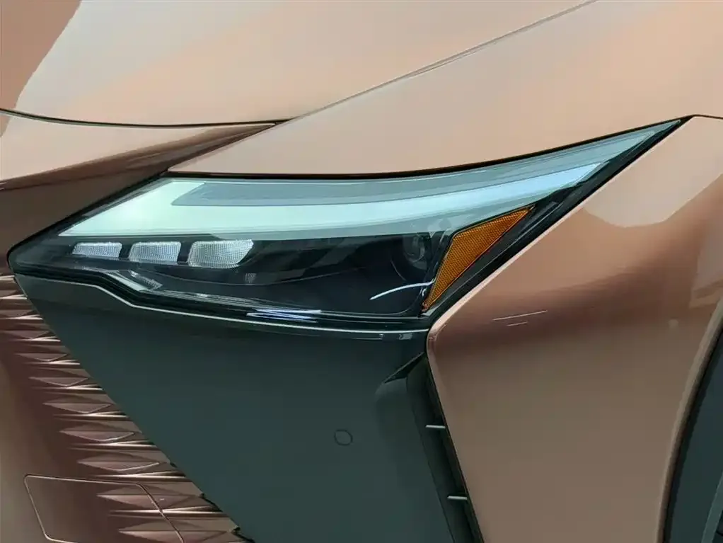 Lexus RZ — фото 6