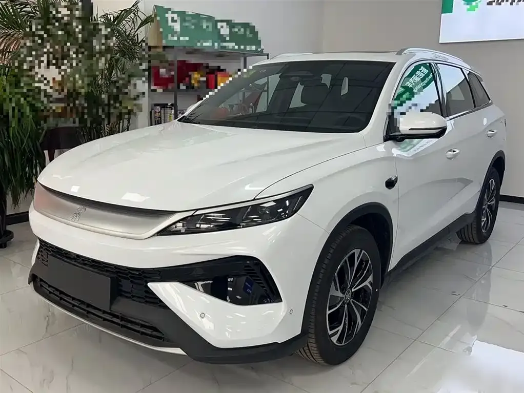 BYD Pro New Energy — фото 1
