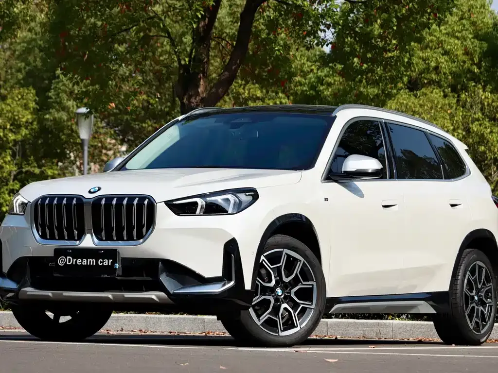 BMW X1 — фото 1