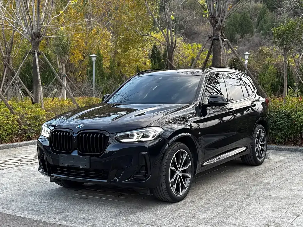 BMW X3 — фото 1
