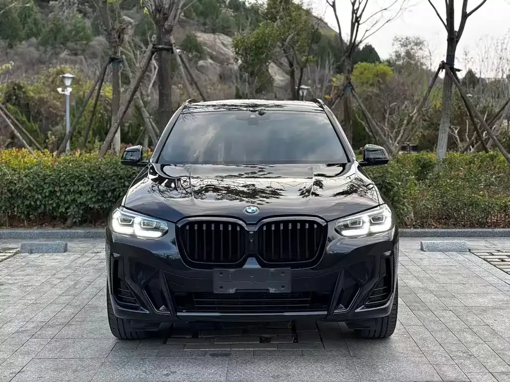 BMW X3 — фото 2