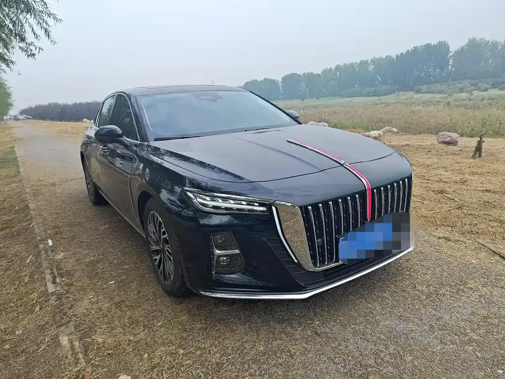 Hongqi H5 — фото 3