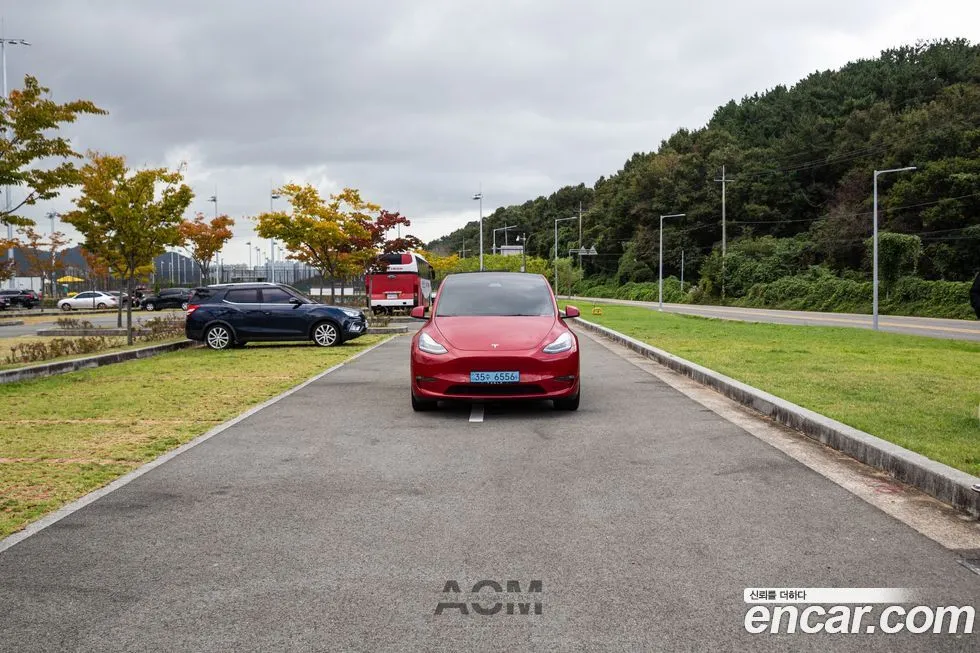 Tesla Model Y — фото 1