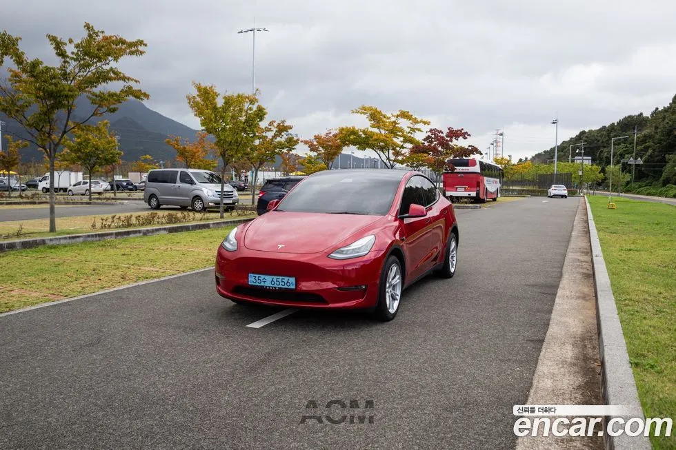 Tesla Model Y — фото 3