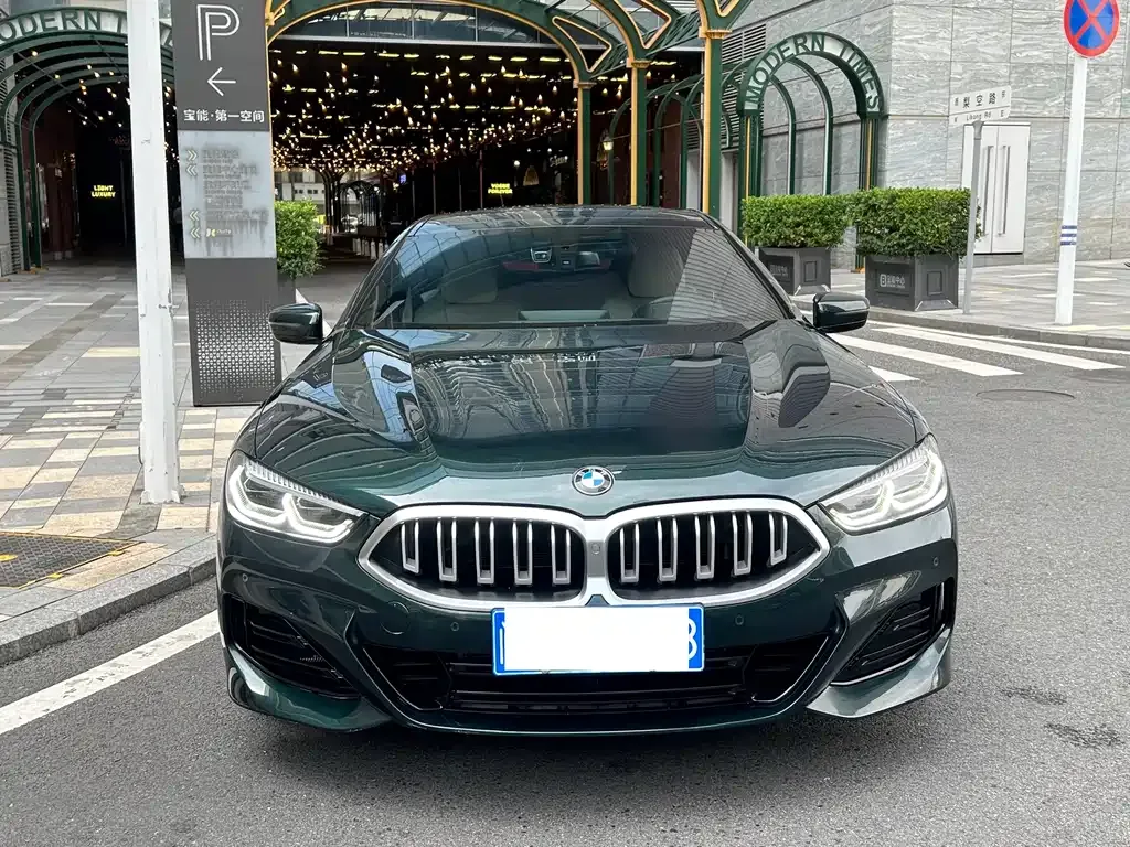 BMW 8 Series — фото 1