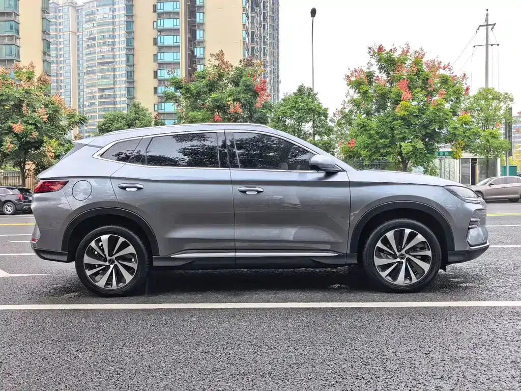 BYD PLUS New Energy — фото 4
