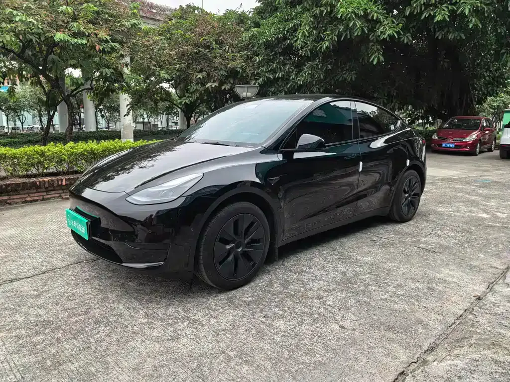 Tesla Model Y — фото 1