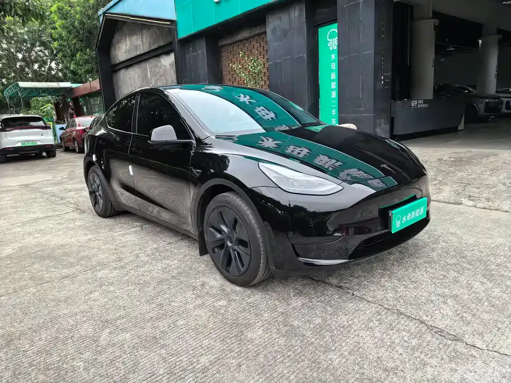 Tesla Model Y — фото 2