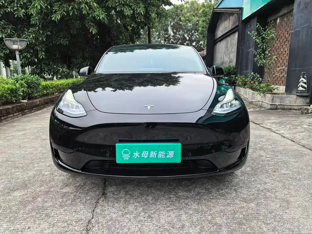 Tesla Model Y — фото 3