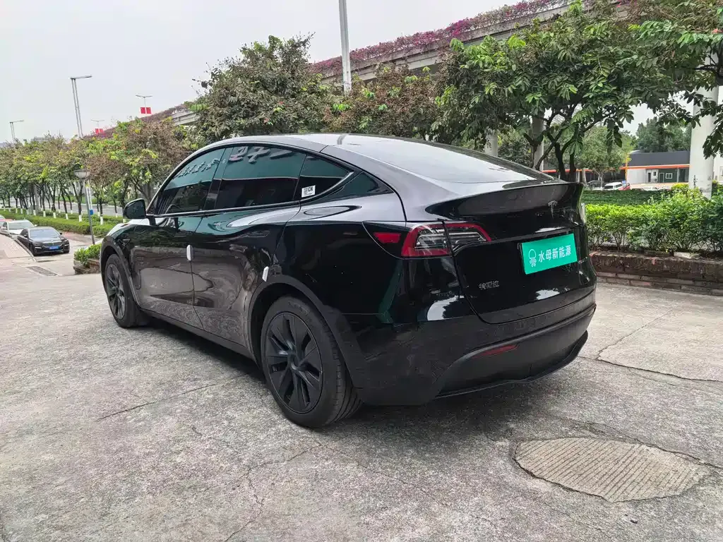 Tesla Model Y — фото 5