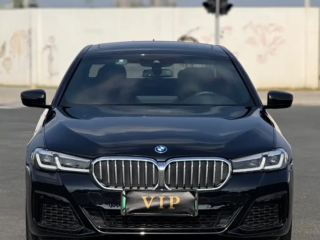 BMW 5 Series New Energy — фото 10