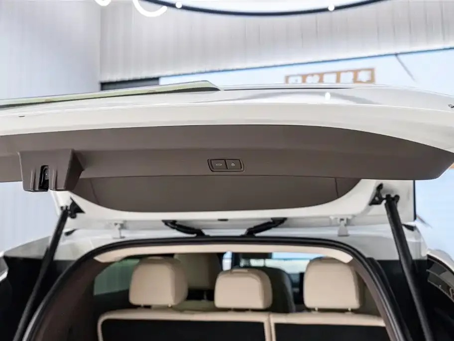 Li Auto MEGA — фото 10
