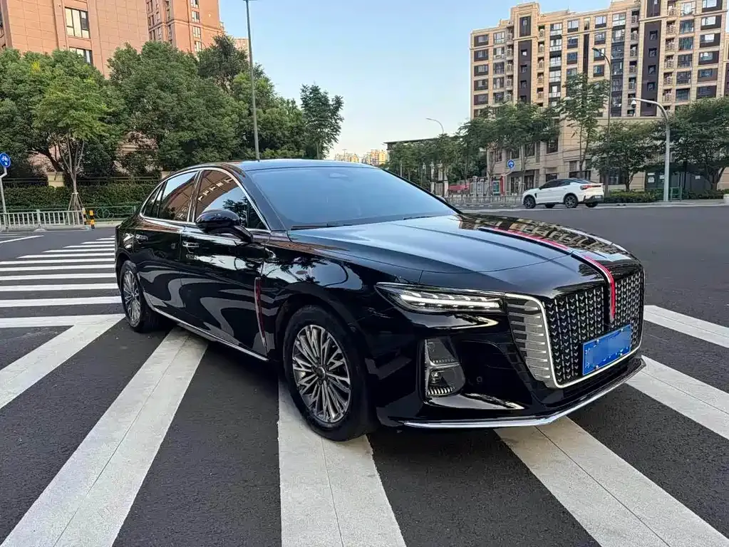 Hongqi H5 — фото 3