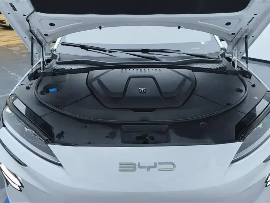 BYD PLUS New Energy — фото 10