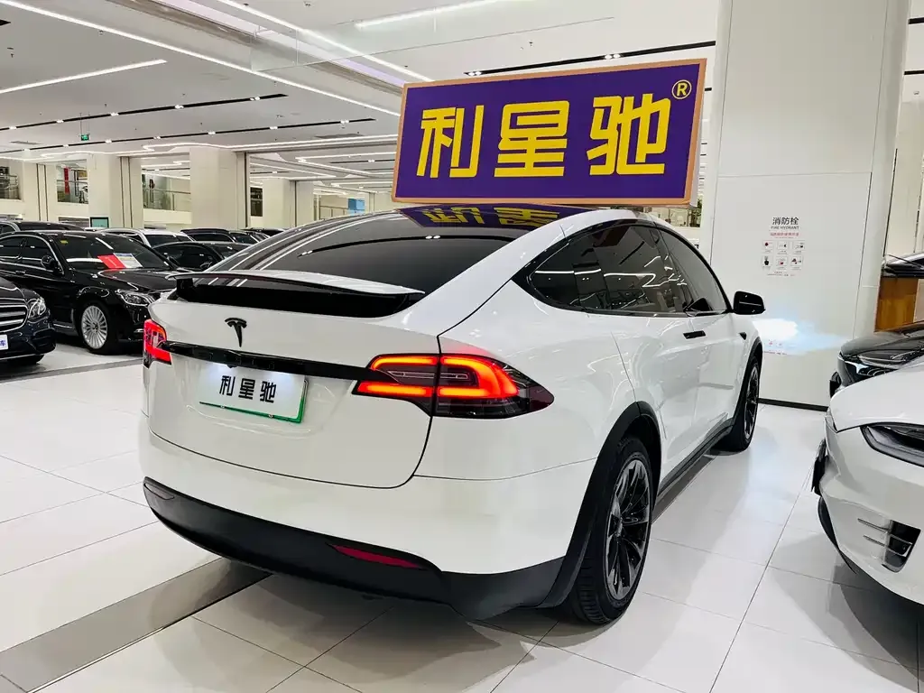 Tesla Model X — фото 3