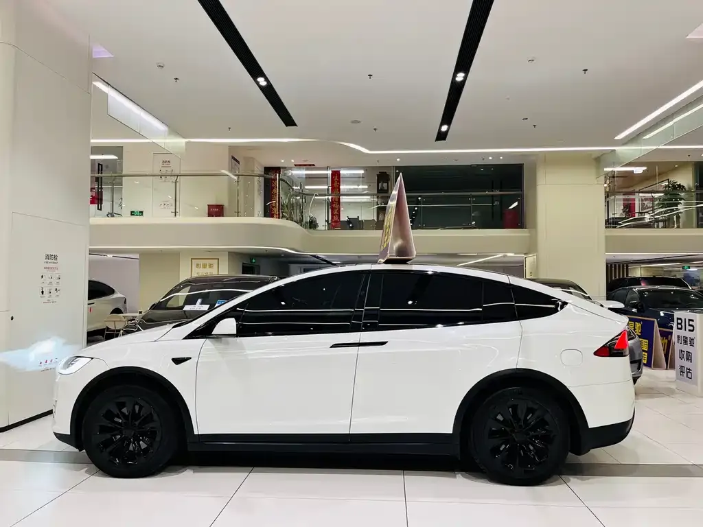 Tesla Model X — фото 6