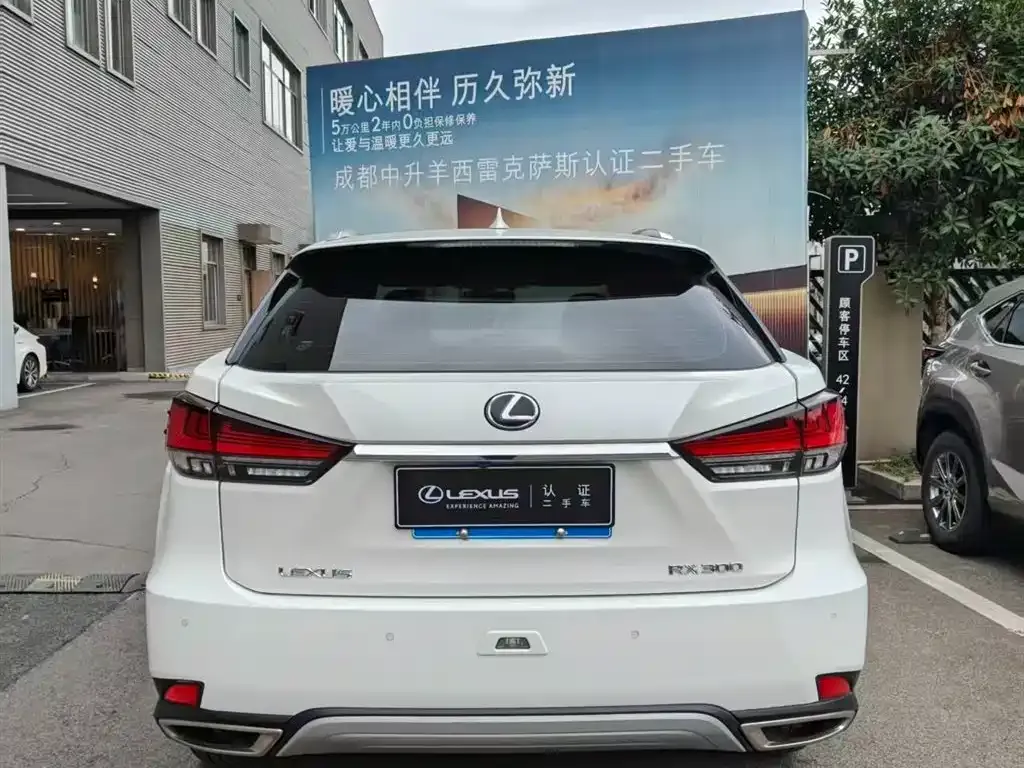 Lexus RX — фото 3