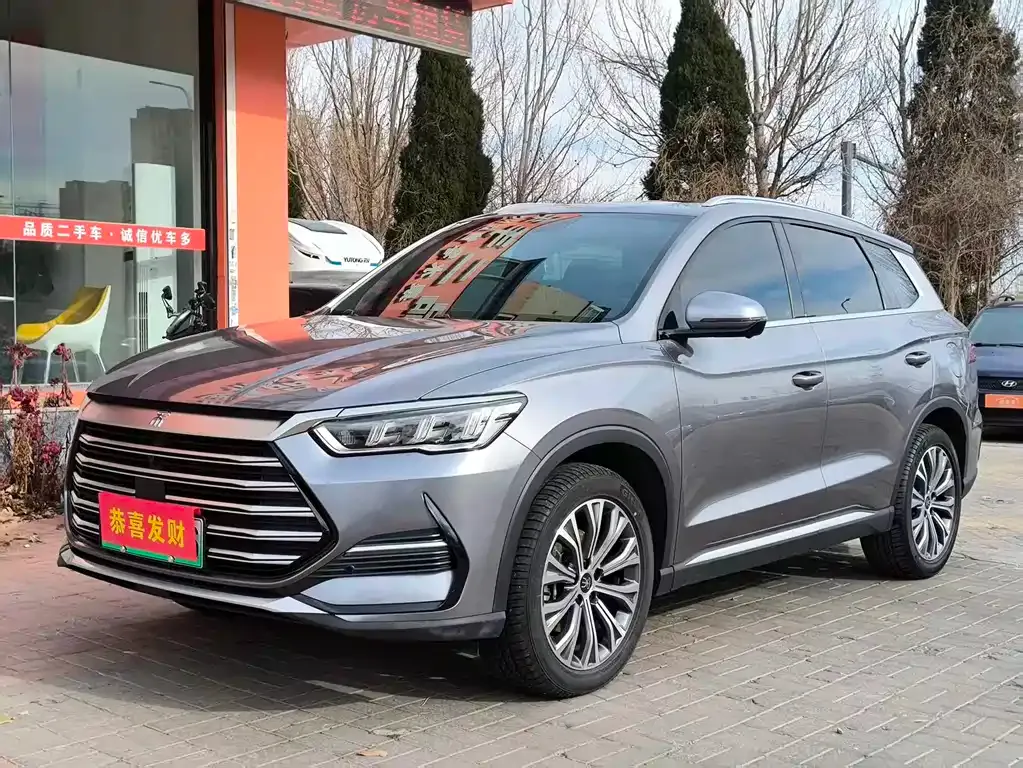 BYD Pro New Energy — фото 1
