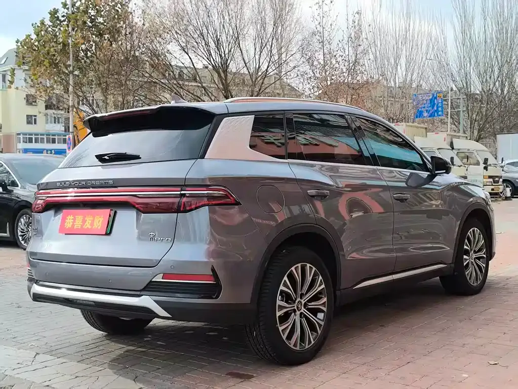 BYD Pro New Energy — фото 10