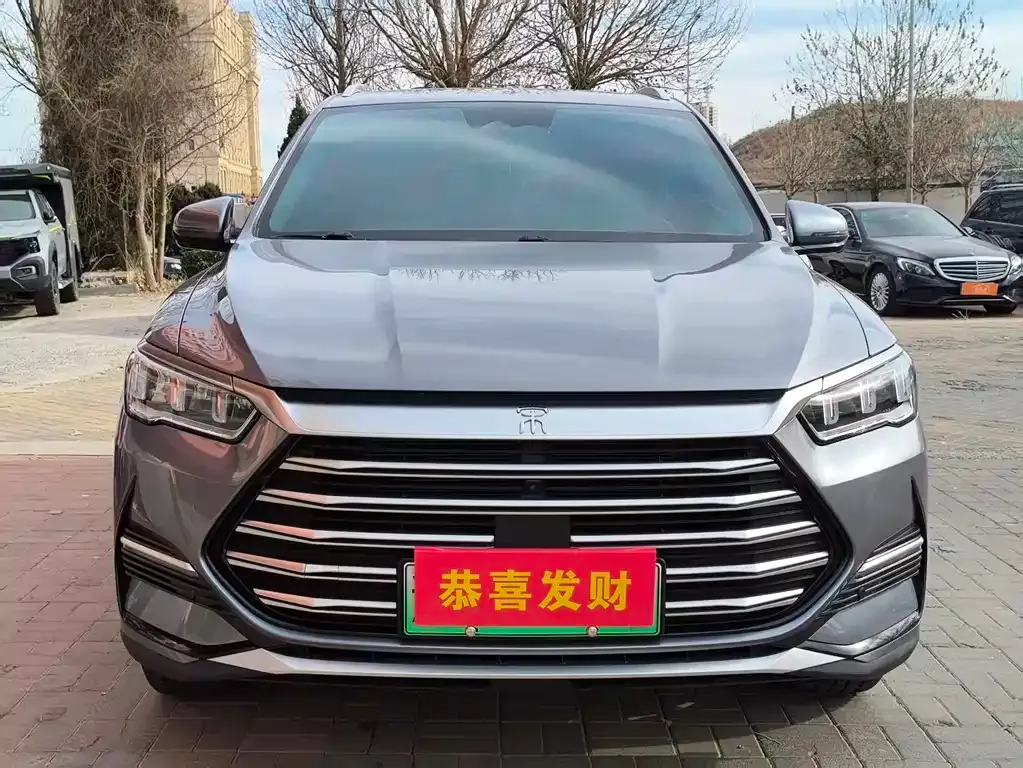 BYD Pro New Energy — фото 2