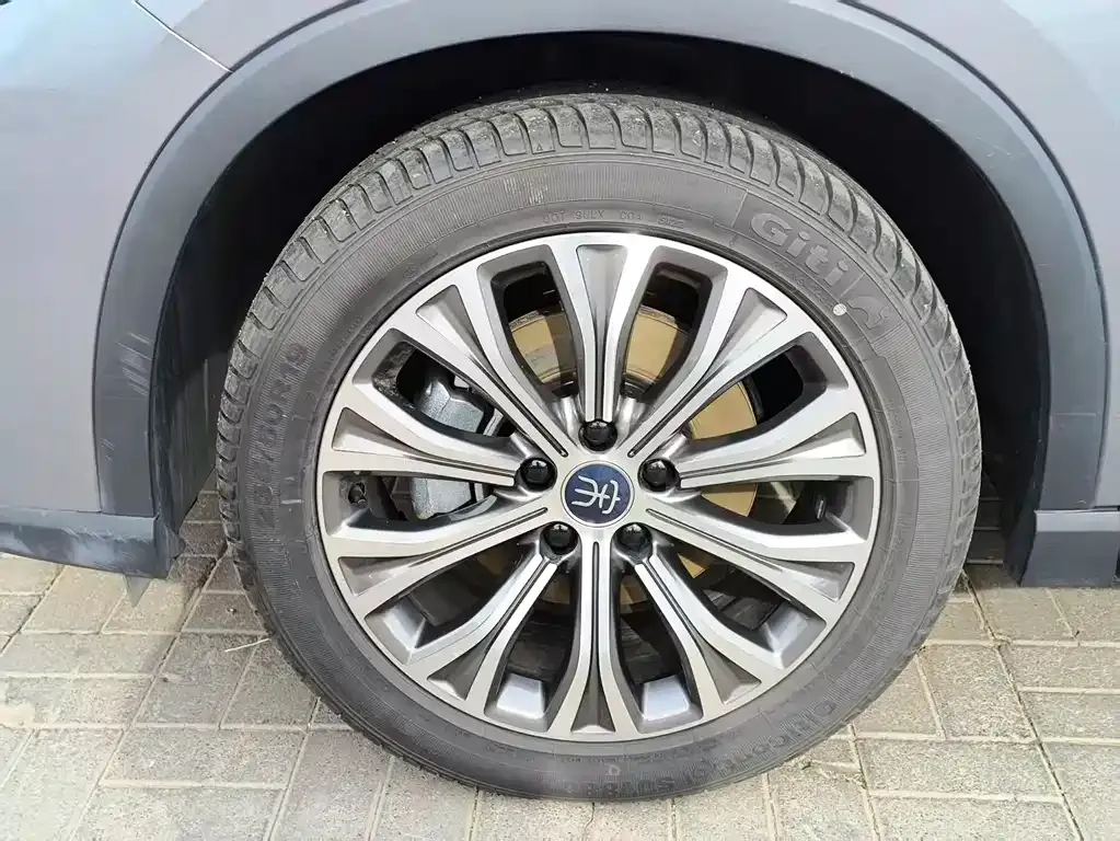 BYD Pro New Energy — фото 3