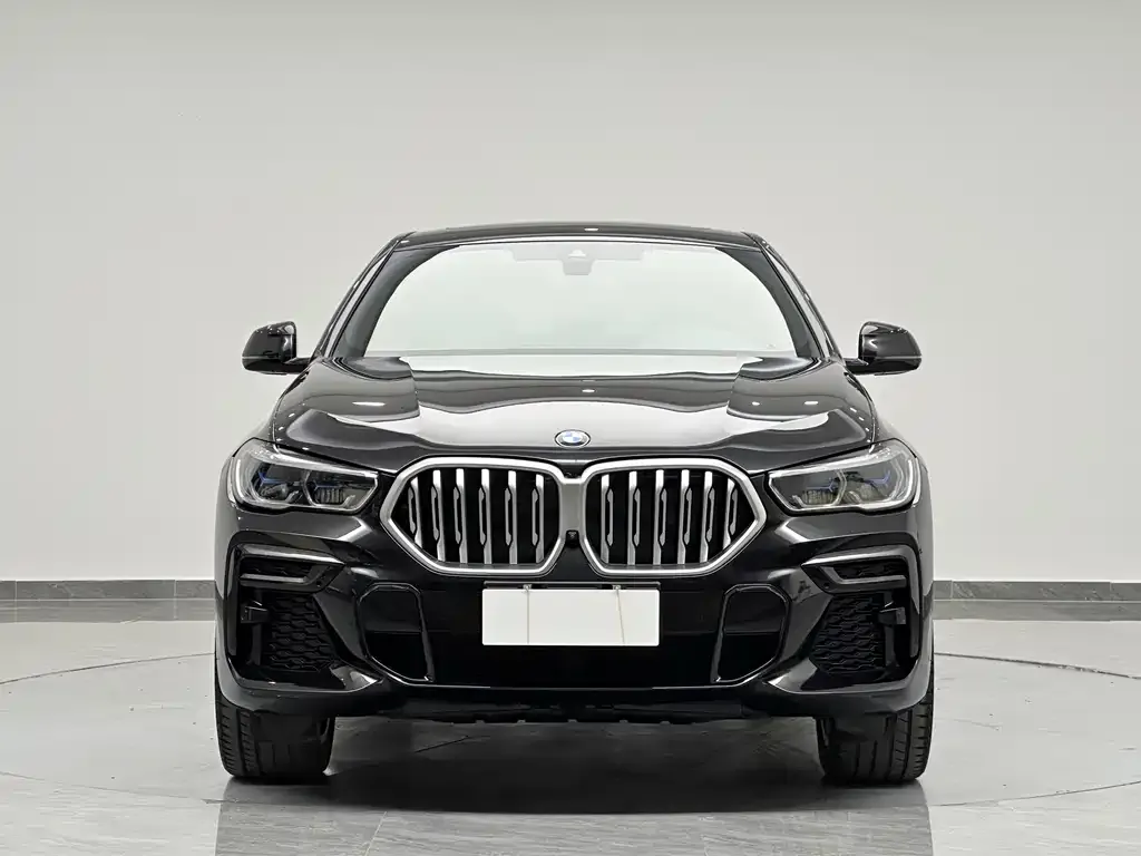 BMW X6 — фото 10