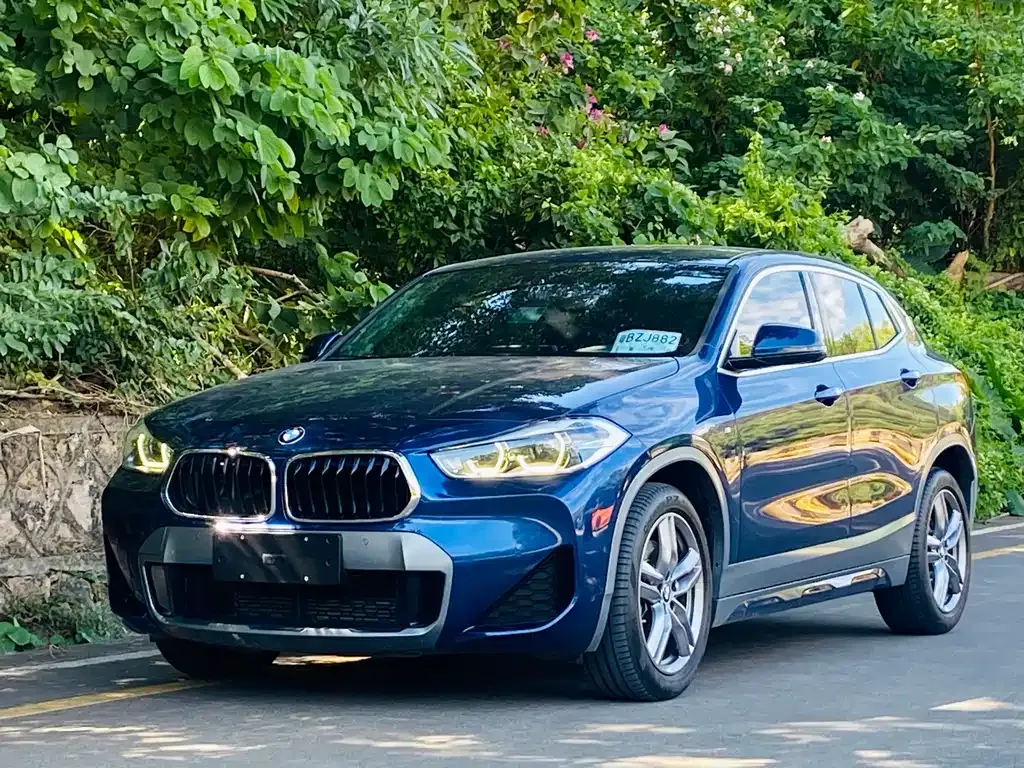 BMW X2 — фото 1