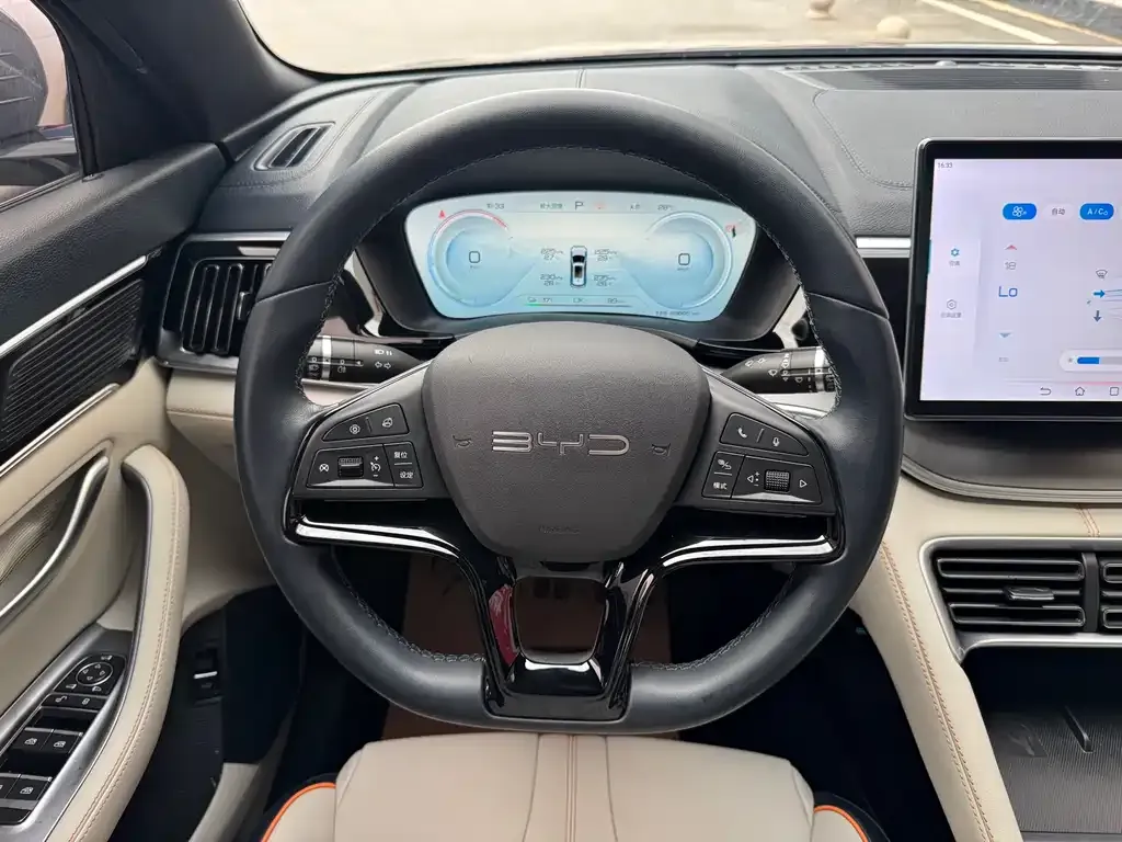 BYD PLUS New Energy — фото 10