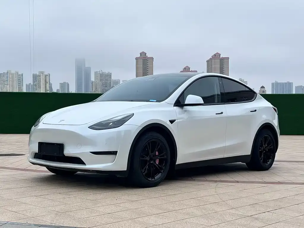 Tesla Model Y — фото 1