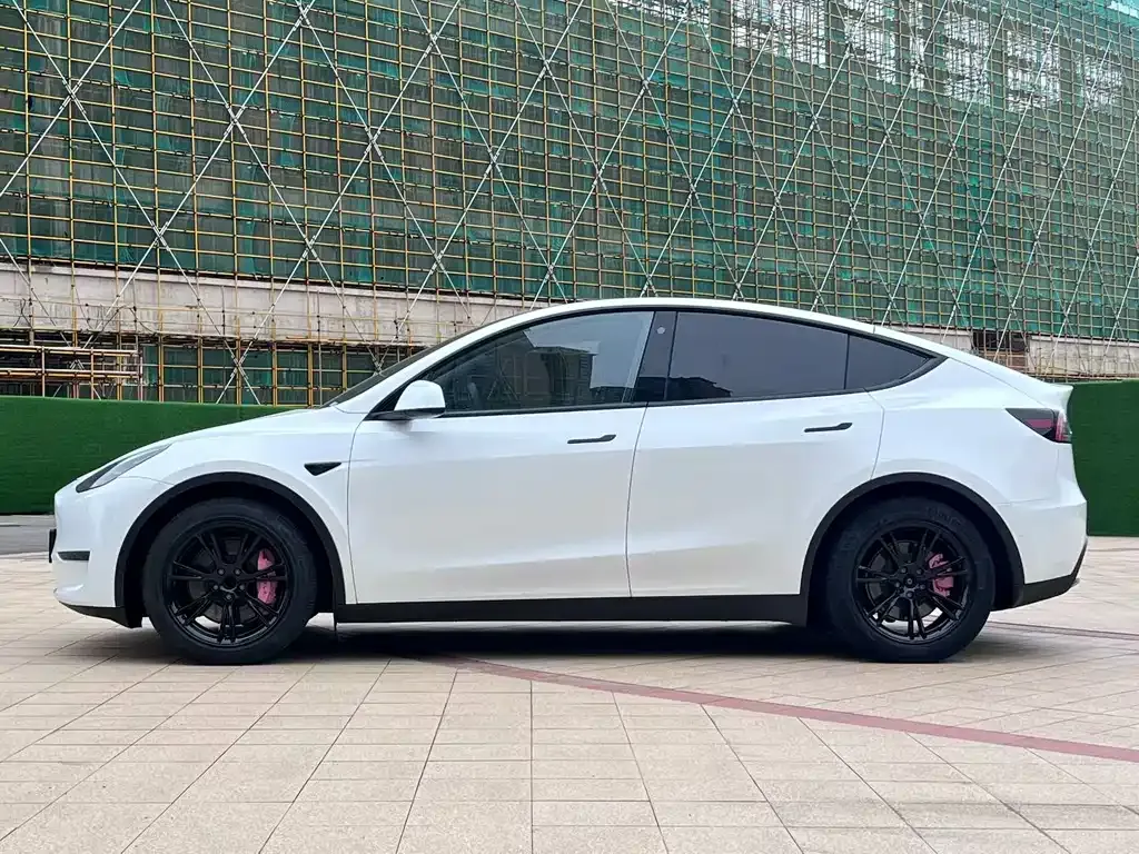 Tesla Model Y — фото 3
