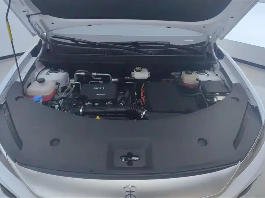 BYD Pro New Energy — фото 10