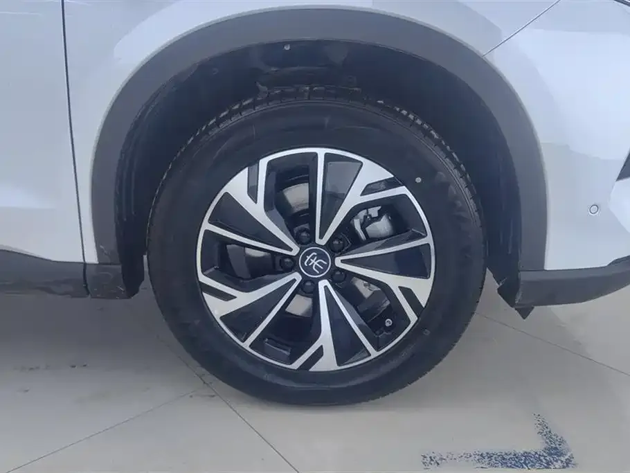 BYD Pro New Energy — фото 6