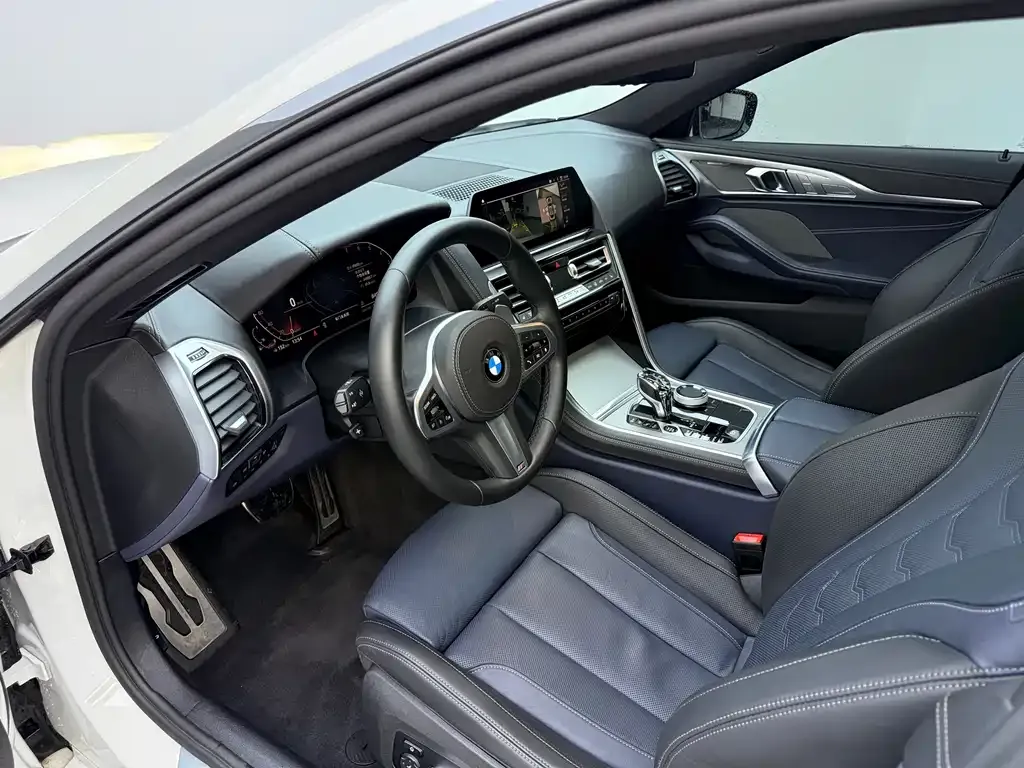 BMW 8 Series — фото 9