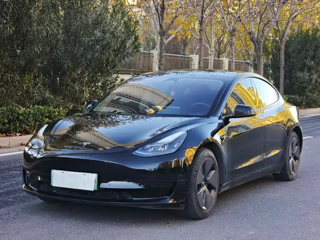 Tesla Model 3 — фото 1