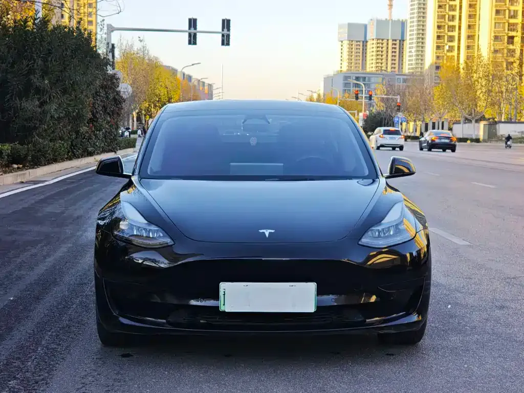 Tesla Model 3 — фото 2