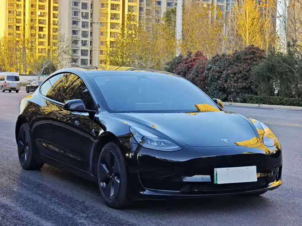 Tesla Model 3 — фото 3