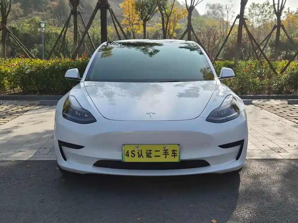 Tesla Model 3 — фото 3