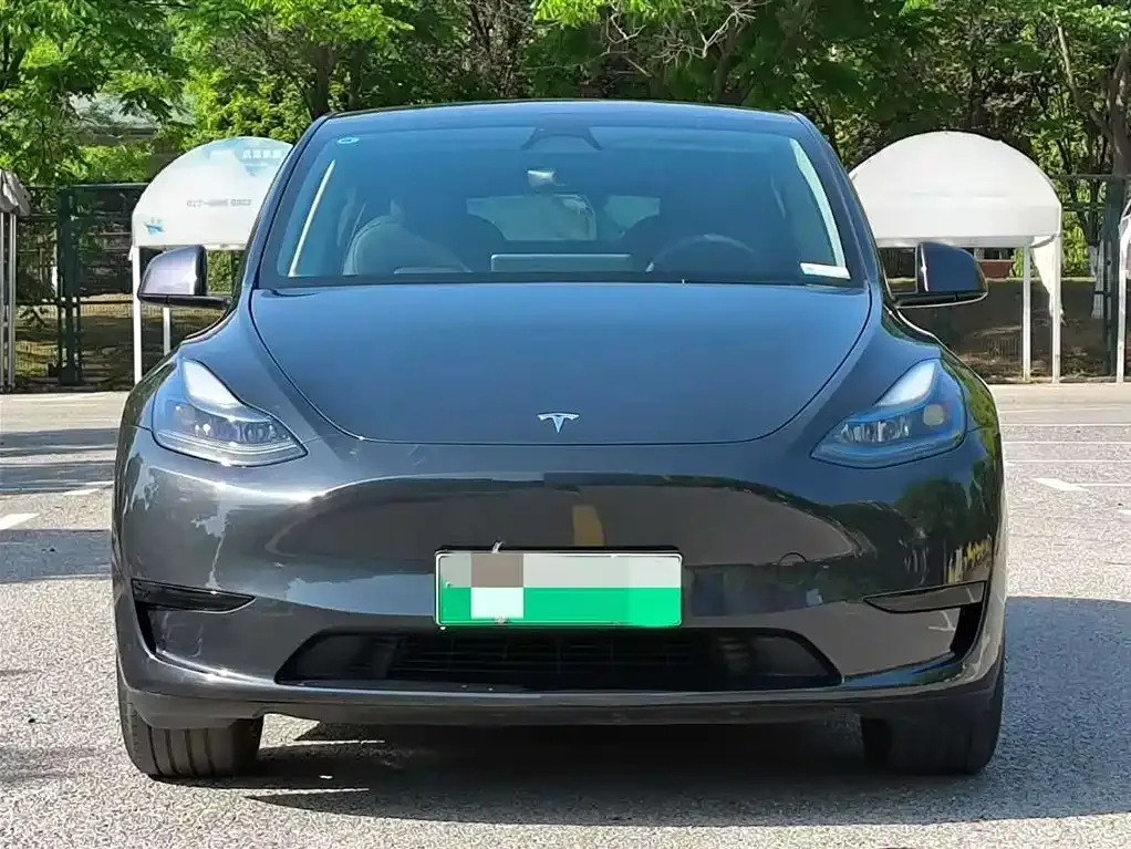 Tesla Model Y — фото 2