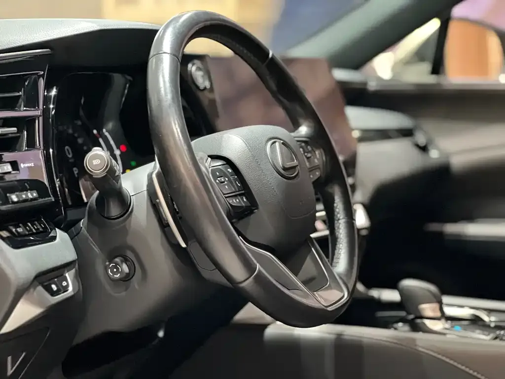 Lexus RX — фото 10