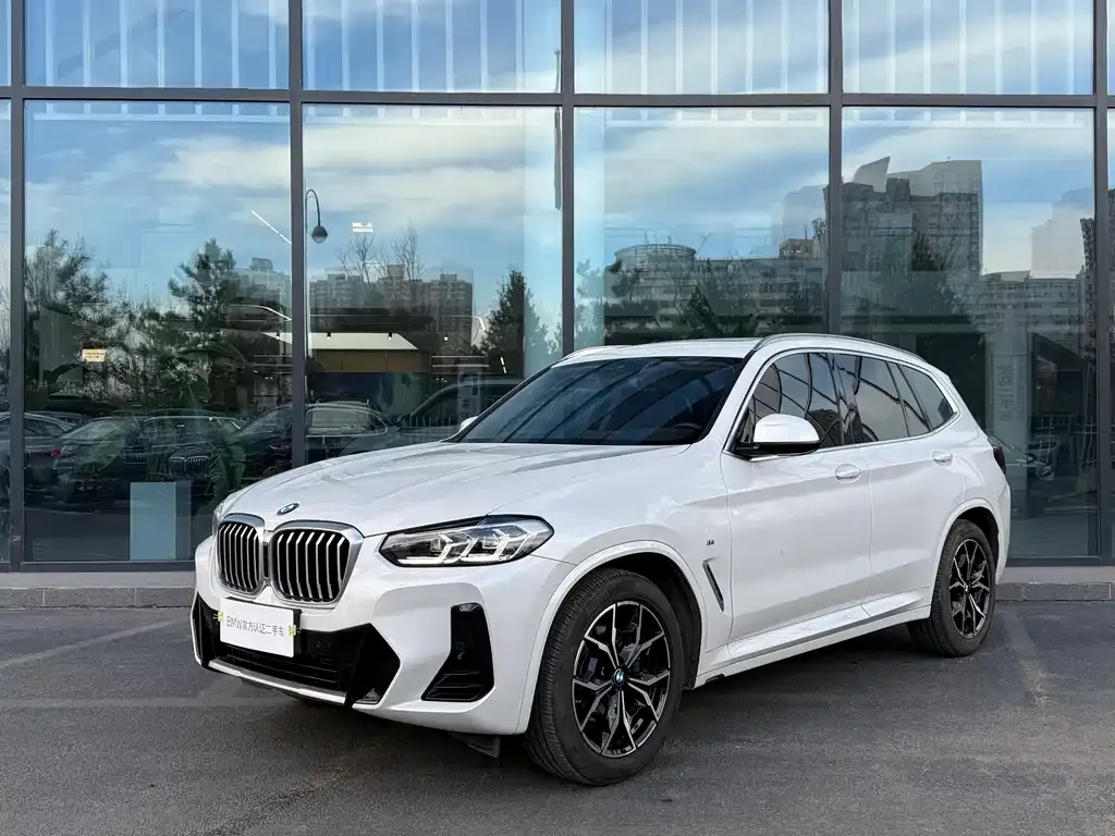 BMW X3 — фото 1