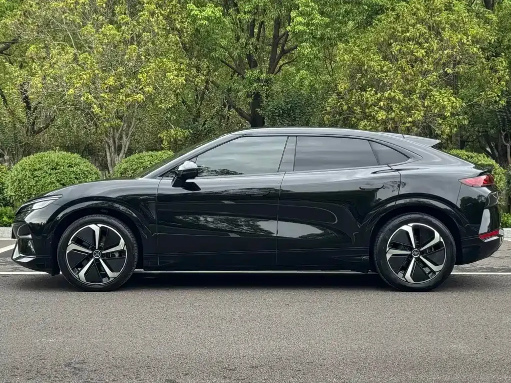 BYD L EV — фото 3