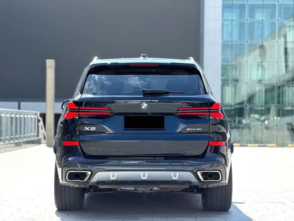 BMW X5 — фото 9