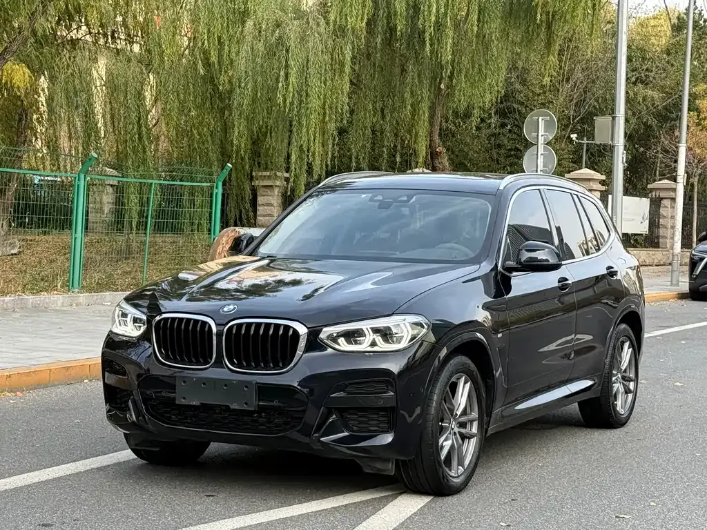 BMW X3 — фото 1