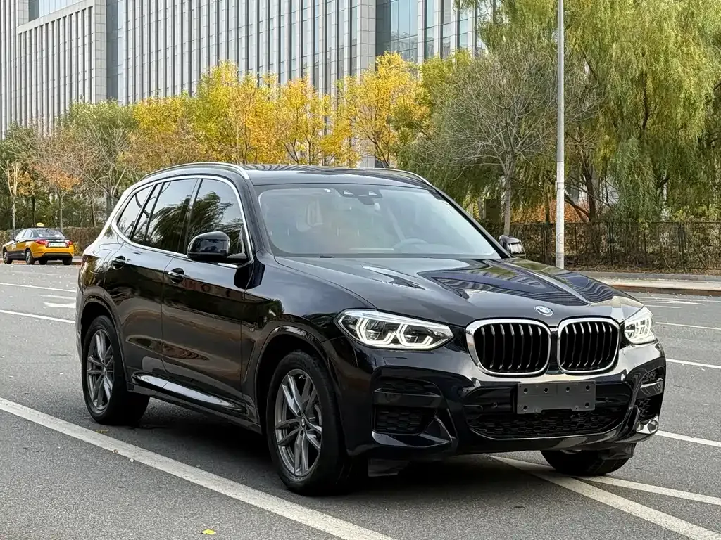 BMW X3 — фото 2